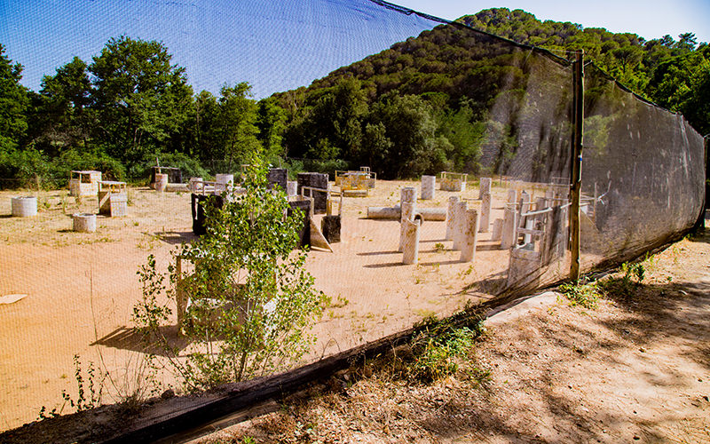 Ausflug Paintball Lloret de Mar - Spielfeld